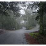 Road To Nowhere