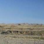 Parched landscape