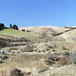 Rolling Hills