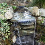 Water Fall