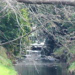 Stream