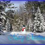 December in Maine_07