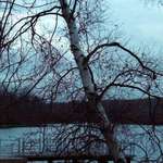 Sittin By The Dock Of The Bay