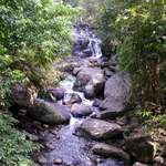Mountain Stream