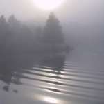 Foggy ripples