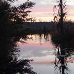Sunset 1/3/05 on Econfina Creek