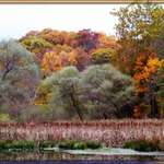 Autumn In North Park