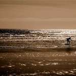 learning to surf!