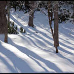 Light and Shadow