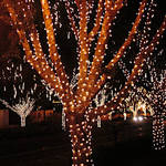 Christmas Lights in Arizona