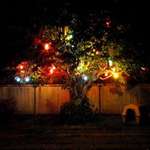 Christmas Lights
