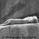Sleeping Majesty