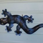 lizzard