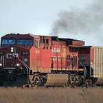 Locomotive & railcars - Canadian Pacific Railway in farmlands