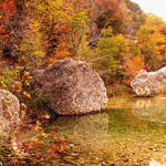 Lost Maples Autumn
