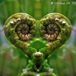 Koru Love