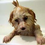 Bathtime