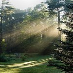 Magic Morning