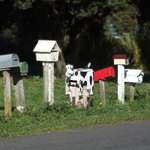 Assorted Mail Boxes