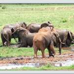 Family Bath Time