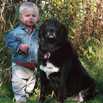 Man's Best Friend