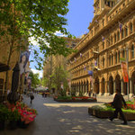 Martain Place