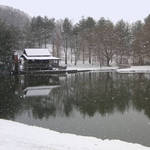 Mill Pond