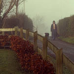 From out of the mist....the wanderer returns