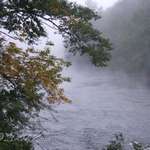 Misty River Morn