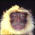 New Species