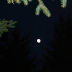 Moon Shot