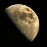 May Moon