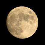 Full Moon #1