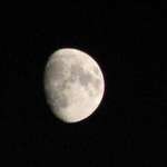 July Half Moon 2