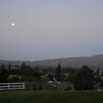 Moonlight