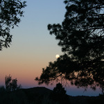 Moonrise In The Hualapai Mountains
