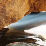 Moose River Mega close up