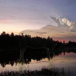 Maine Woods