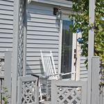Morning Glory on the Arbour