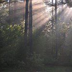 Morning Magic