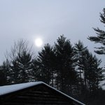 Morning Sun
