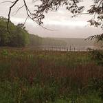 Morning after midnight  rain