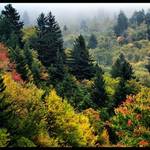 Mountain Color in Fog