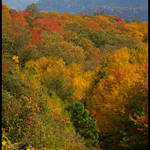 Mountain Color