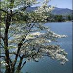 Mountain Lake in Spring