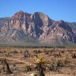 Red Rock Bowl
