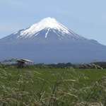 Another Mt Egmont View