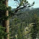Where I Go To Think