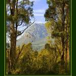 Mt. Roland