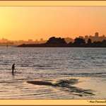 Low Tide